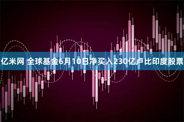 亿米网 全球基金6月10日净买入230亿卢比印度股票
