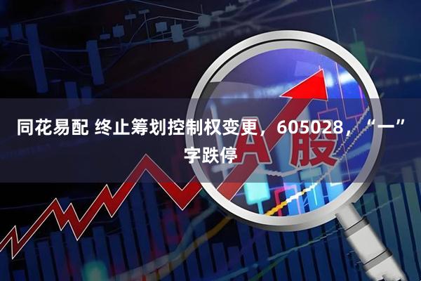 同花易配 终止筹划控制权变更，605028，“一”字跌停