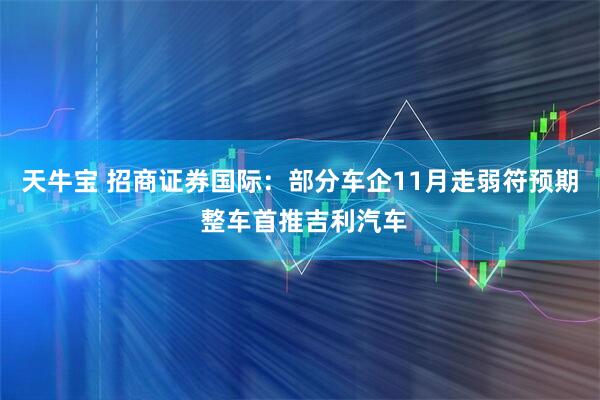 天牛宝 招商证券国际：部分车企11月走弱符预期 整车首推吉利汽车
