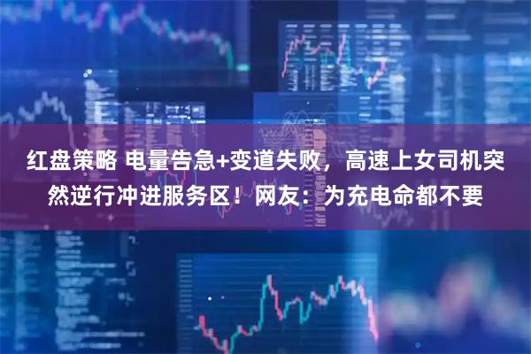 红盘策略 电量告急+变道失败，高速上女司机突然逆行冲进服务区！网友：为充电命都不要