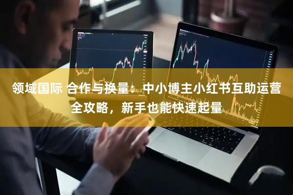 领域国际 合作与换量：中小博主小红书互助运营全攻略，新手也能快速起量
