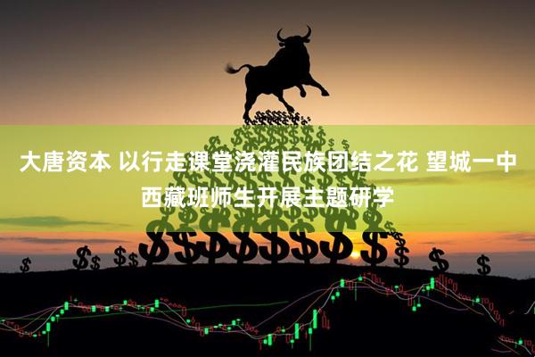 大唐资本 以行走课堂浇灌民族团结之花 望城一中西藏班师生开展主题研学